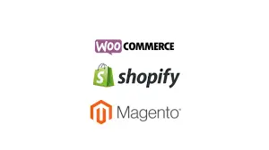 E-Commerce Website Development